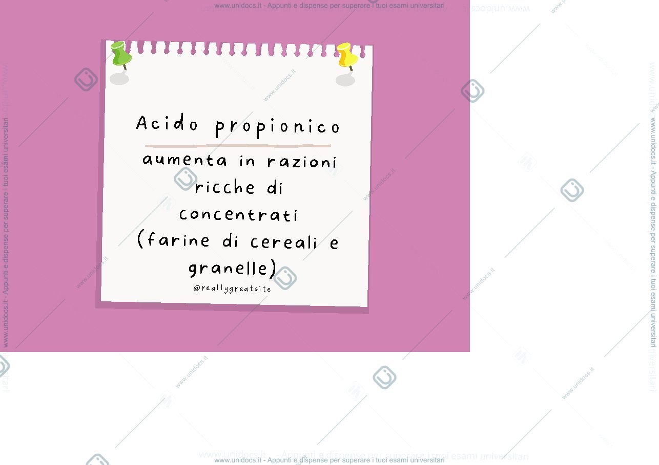 Anteprima pagina 1 — Flashcards produzioni animali