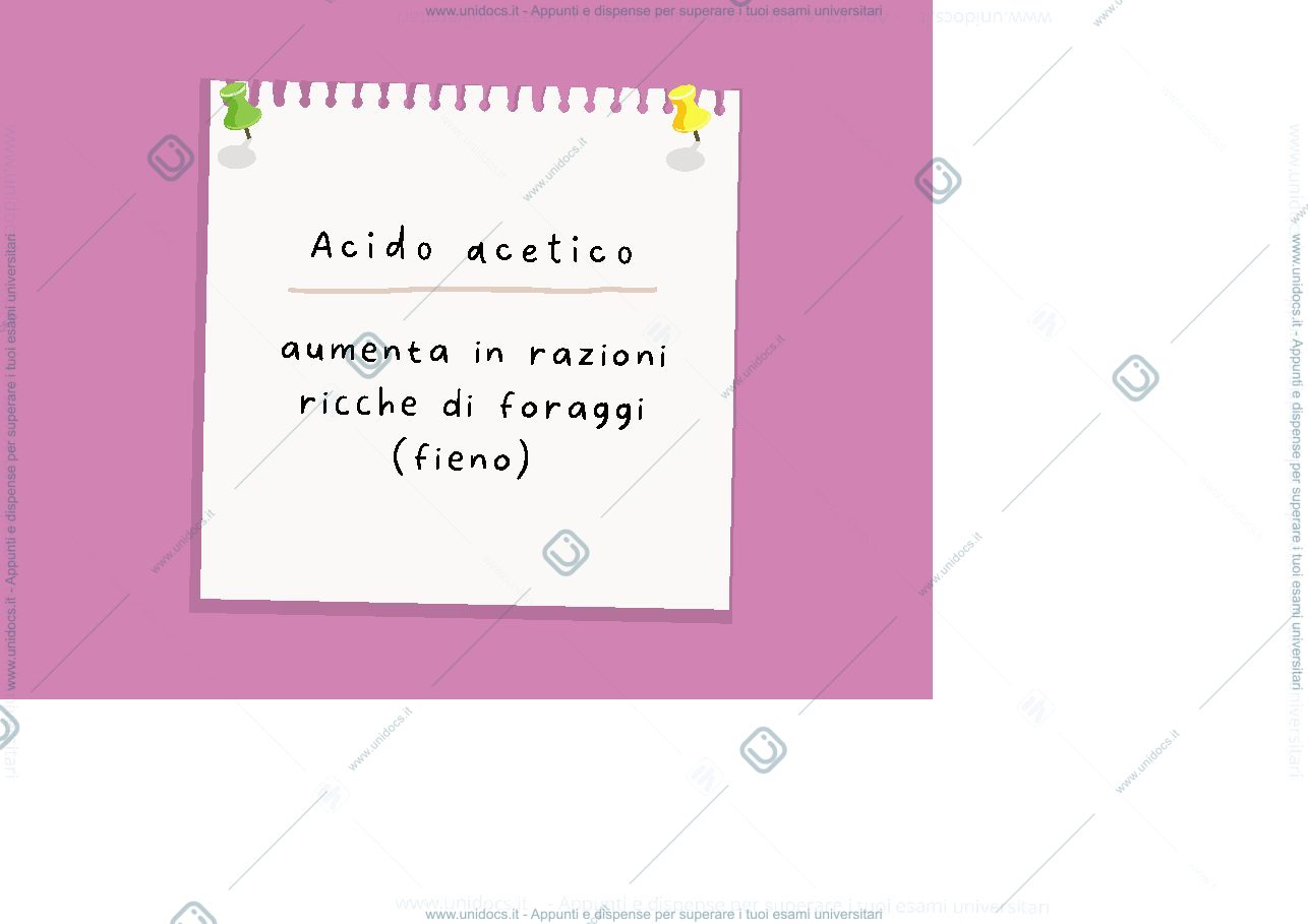 Anteprima pagina 2 — Flashcards produzioni animali