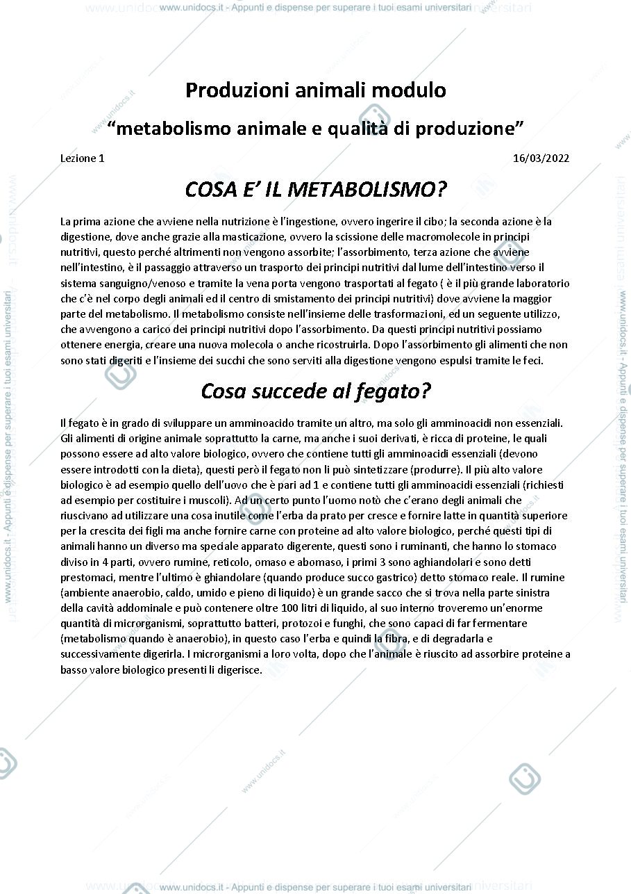 Anteprima pagina 1 — cosa è il metabolismo