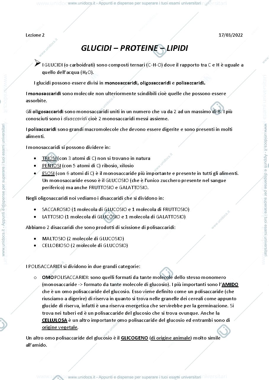Anteprima pagina 2 — cosa è il metabolismo