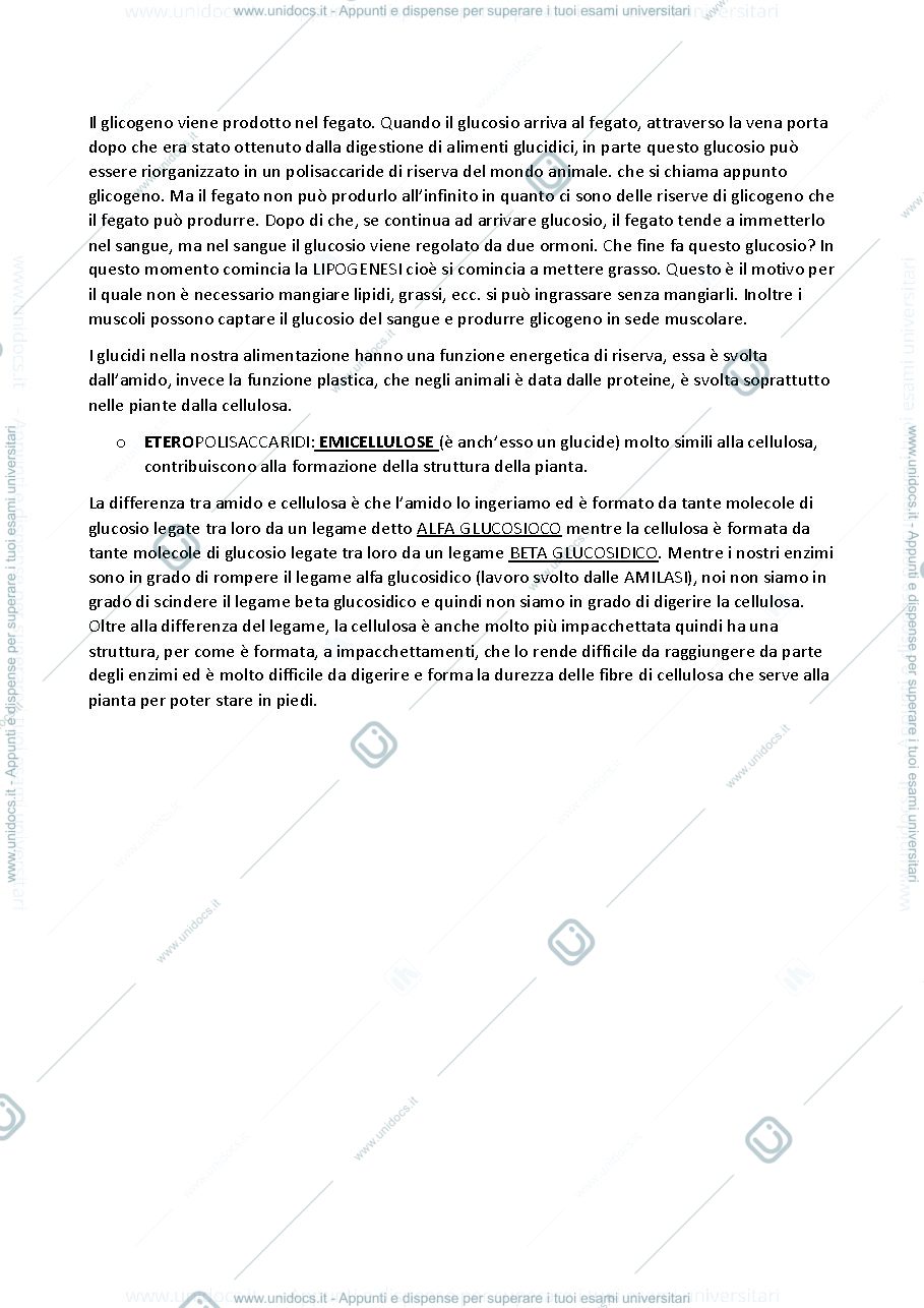 Anteprima pagina 3 — cosa è il metabolismo