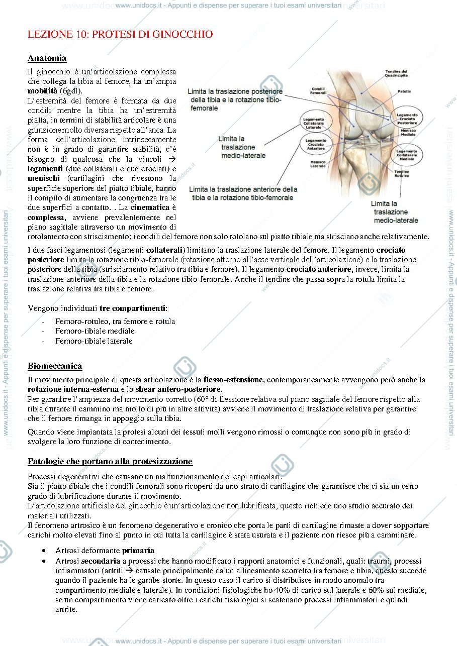 Anteprima pagina 1 — Protesi di ginocchio