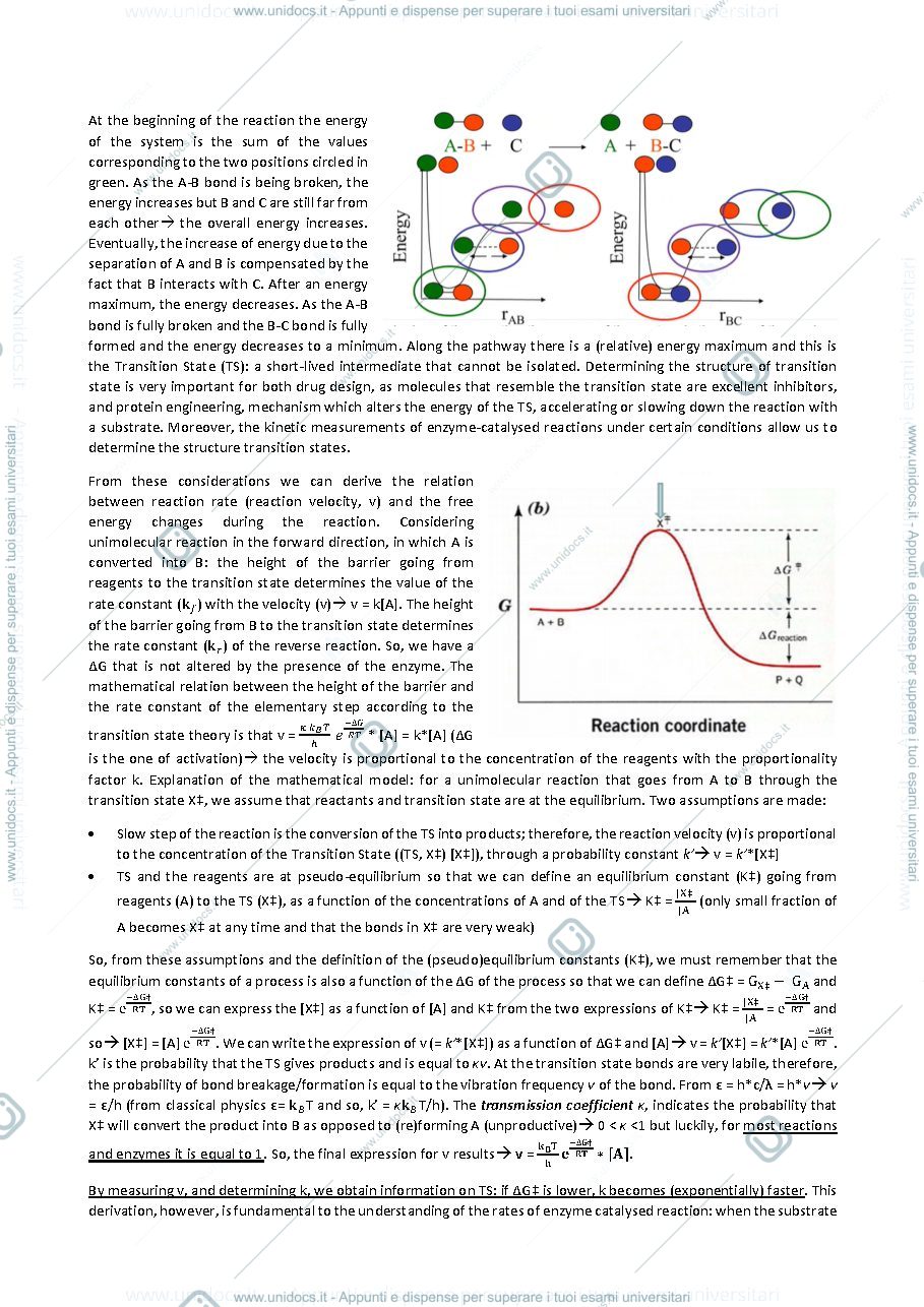 Anteprima pagina 2 — Protein Engineering and molecular enzymology