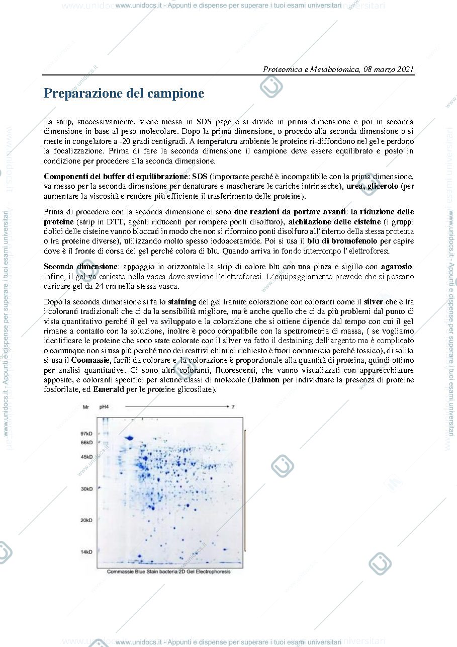 Anteprima pagina 1 — Proteomica 