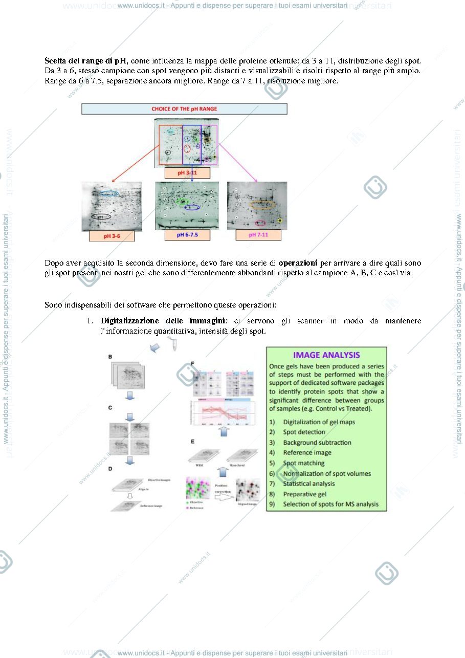 Anteprima pagina 2 — Proteomica 