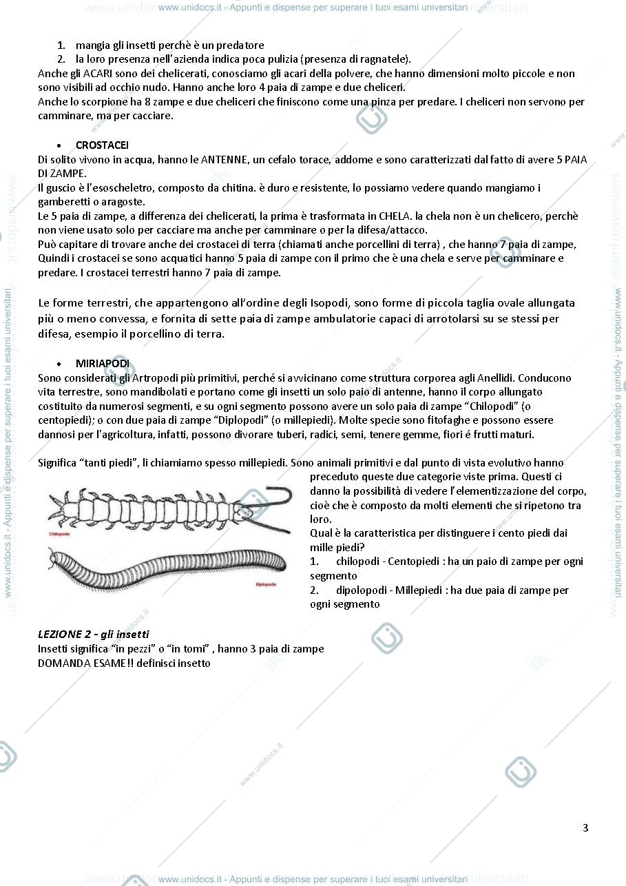 Anteprima pagina 3 — Protezione dagli infestanti