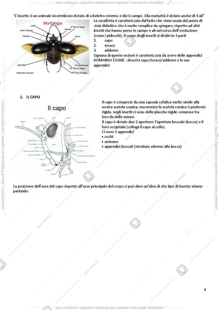 Anteprima pagina 4 — Protezione dagli infestanti