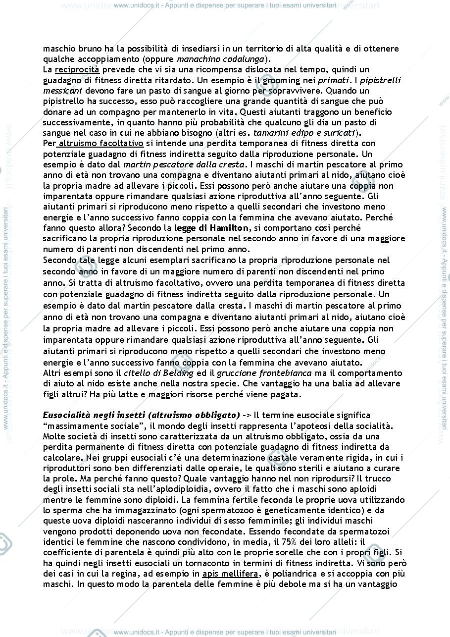 Anteprima pagina 3 — Domande per esame Evoluzione del Comportamento 