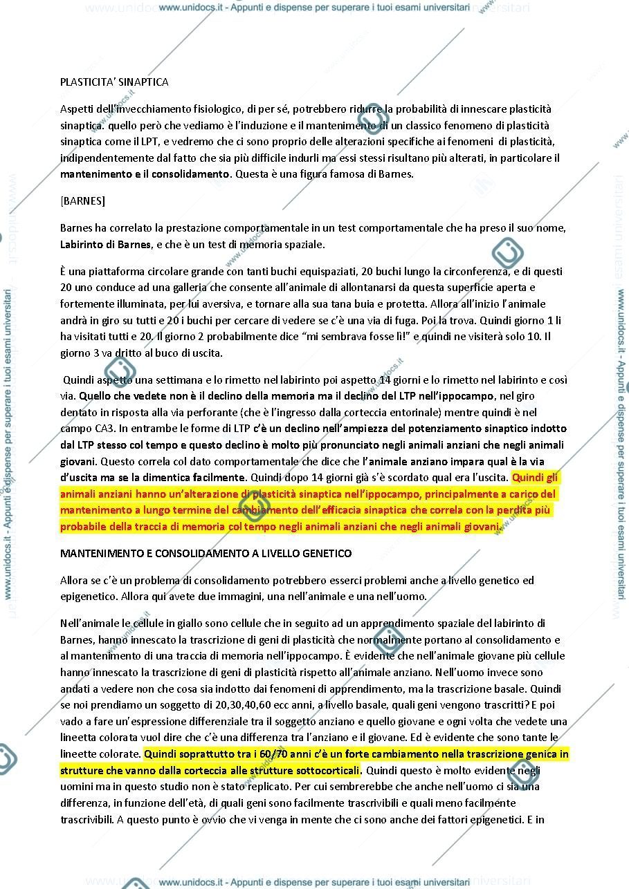 Anteprima pagina 2 — Riassunto 2° Modulo (Berardi)