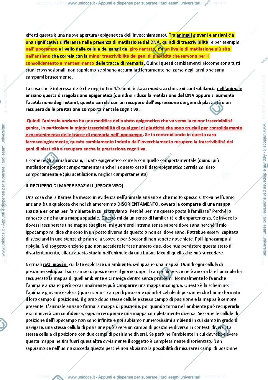 Anteprima pagina 3 — Riassunto 2° Modulo (Berardi)