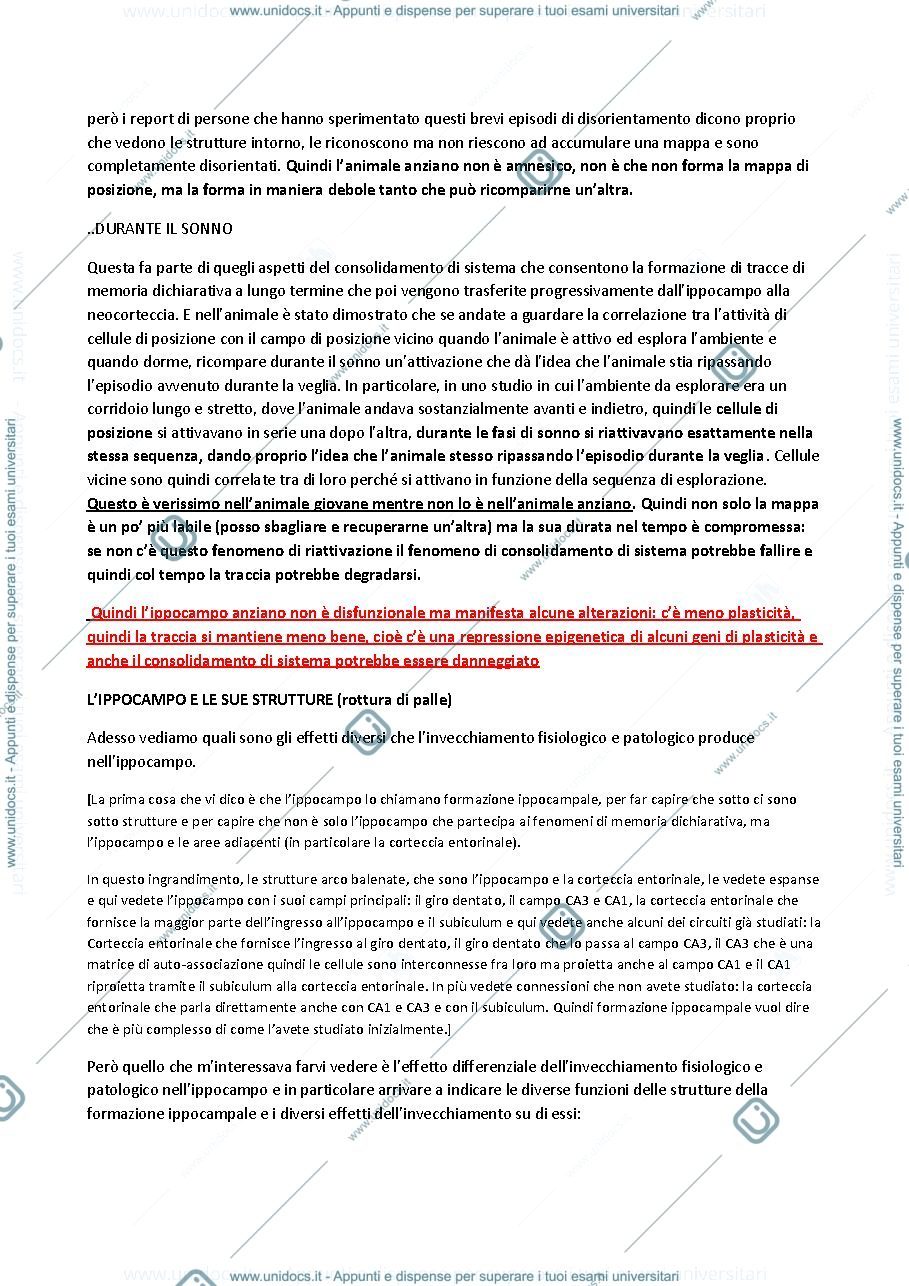 Anteprima pagina 4 — Riassunto 2° Modulo (Berardi)
