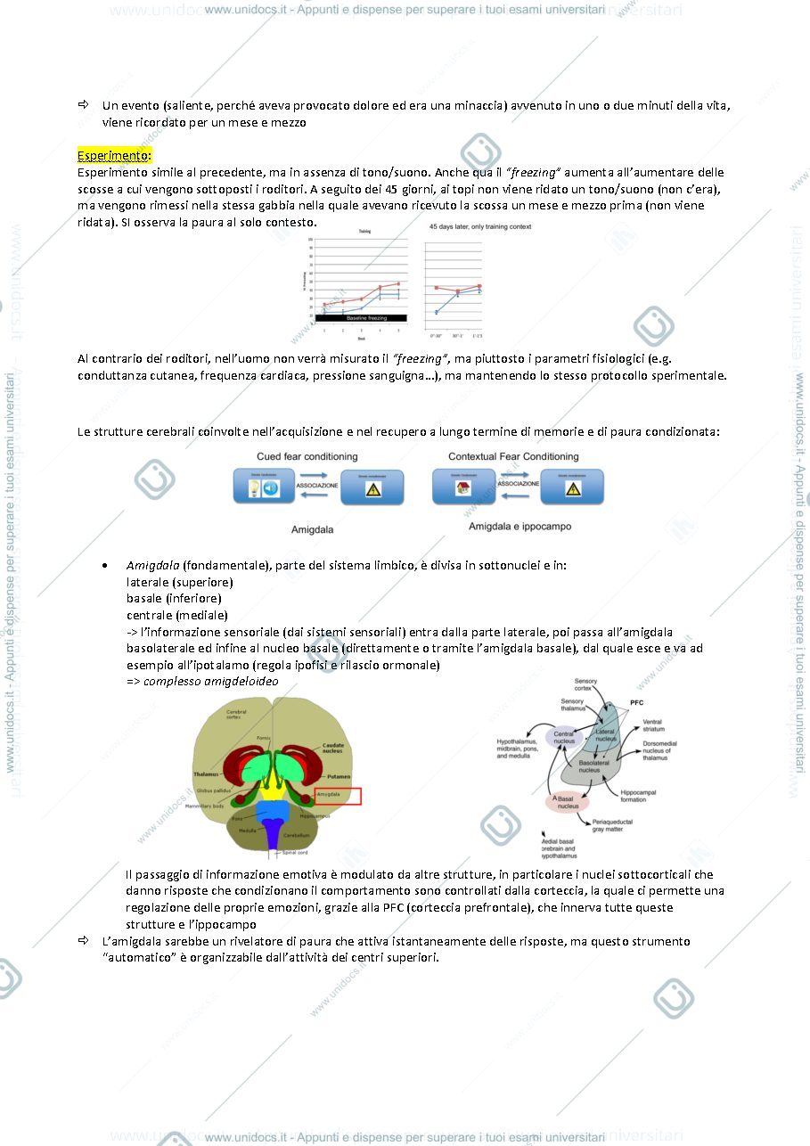 Anteprima pagina 2 — Psicobiologia della resilienza e della vulnerabilità