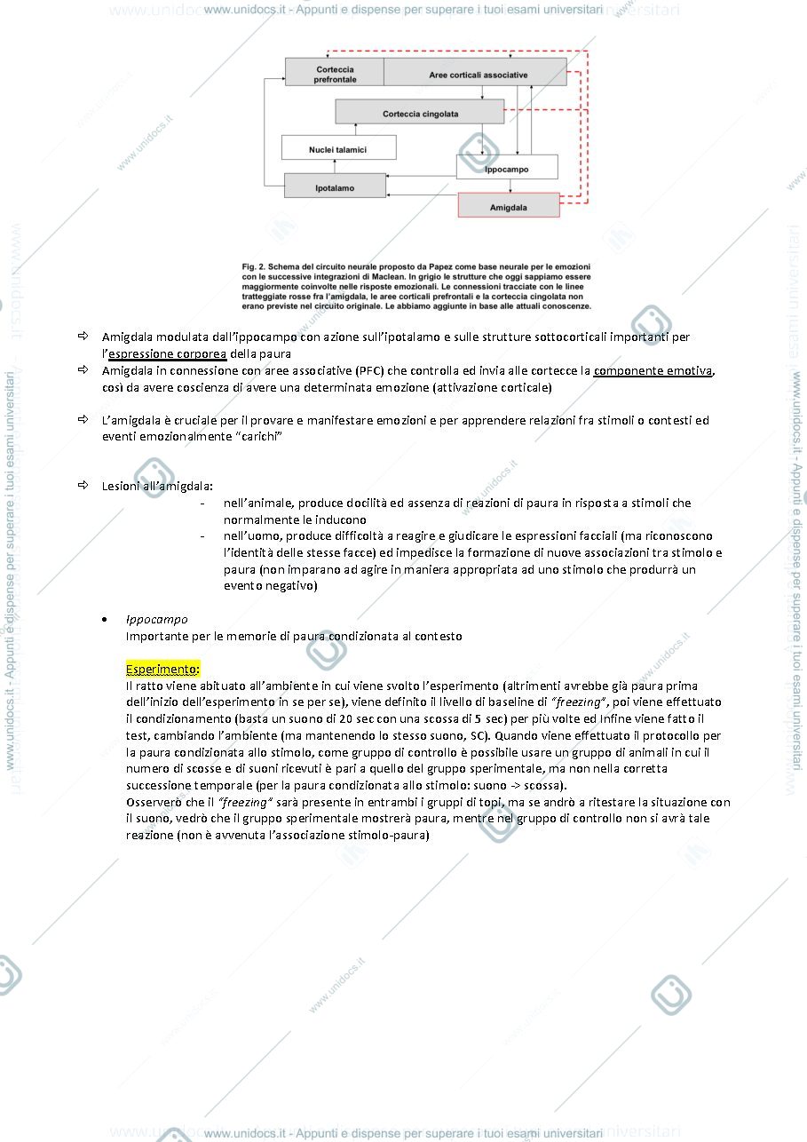 Anteprima pagina 3 — Psicobiologia della resilienza e della vulnerabilità