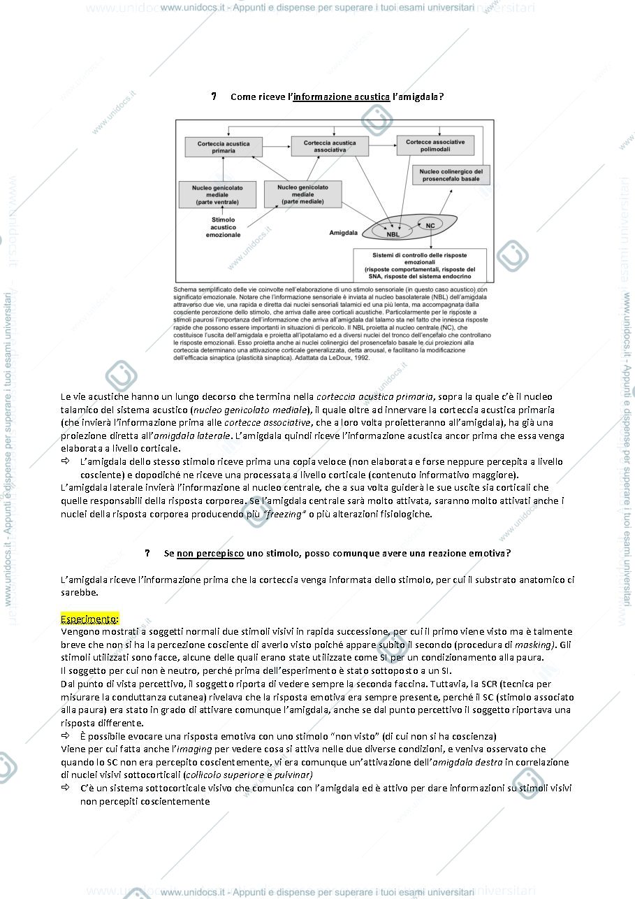 Anteprima pagina 4 — Psicobiologia della resilienza e della vulnerabilità