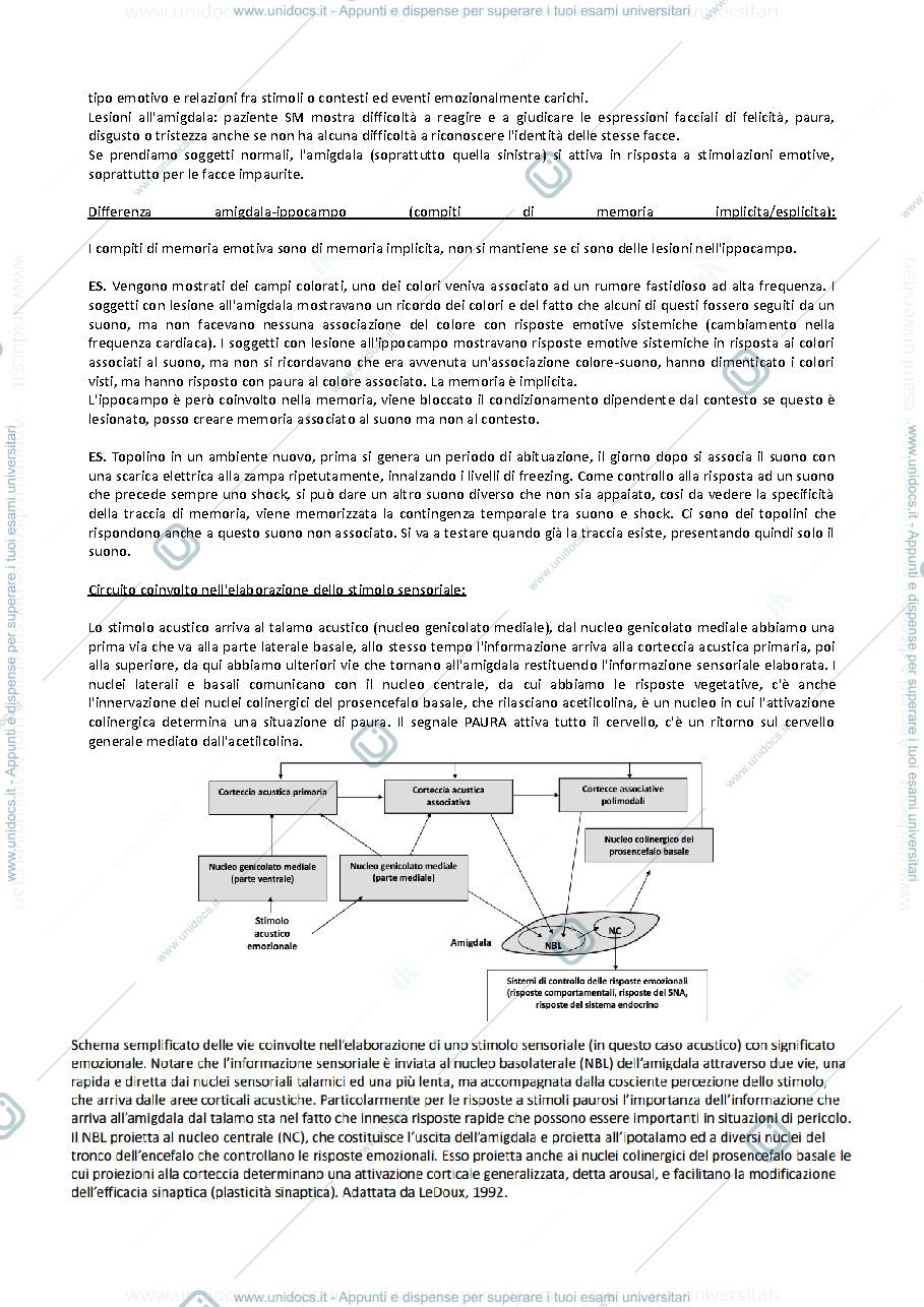 Anteprima pagina 2 — Appunti 2° Modulo Psicobiologia della Resilienza e della Vulnerabilità