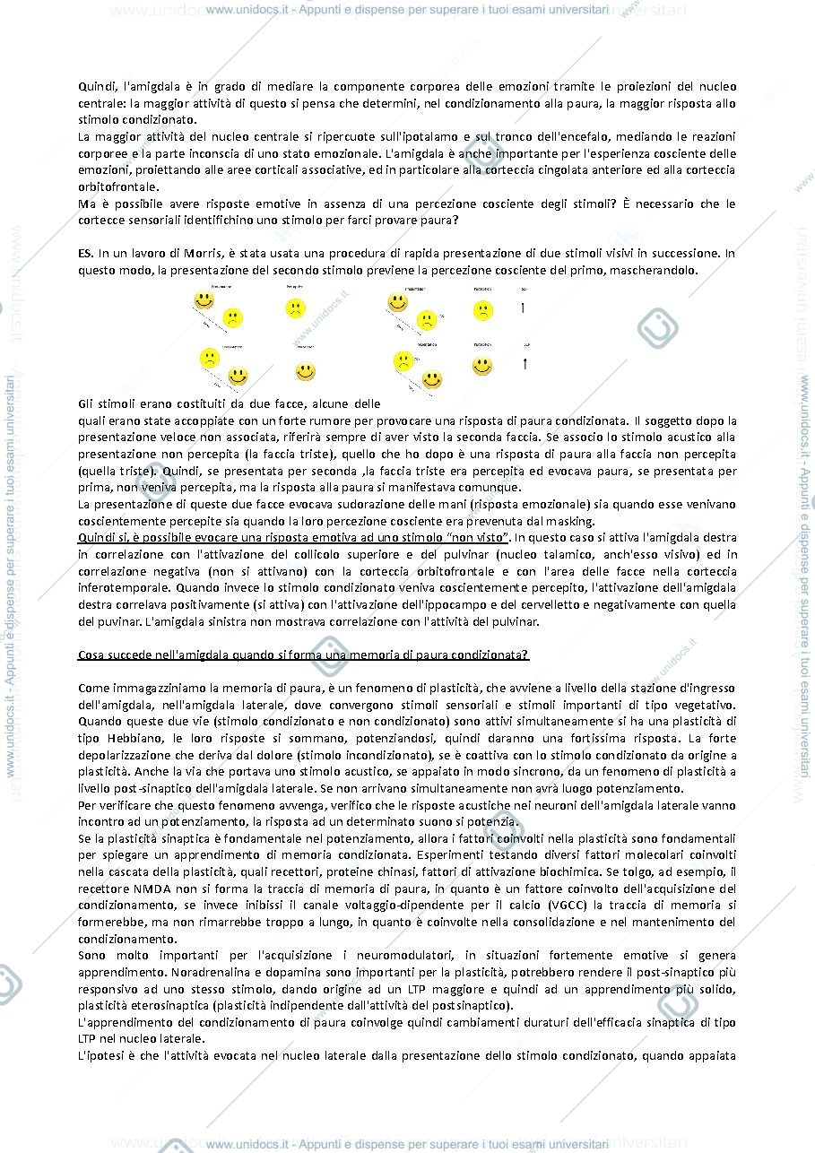 Anteprima pagina 3 — Appunti 2° Modulo Psicobiologia della Resilienza e della Vulnerabilità
