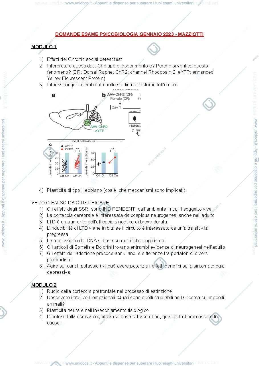 Anteprima pagina 1 — Domande appello gennaio 2023 prof. Mazziotti 