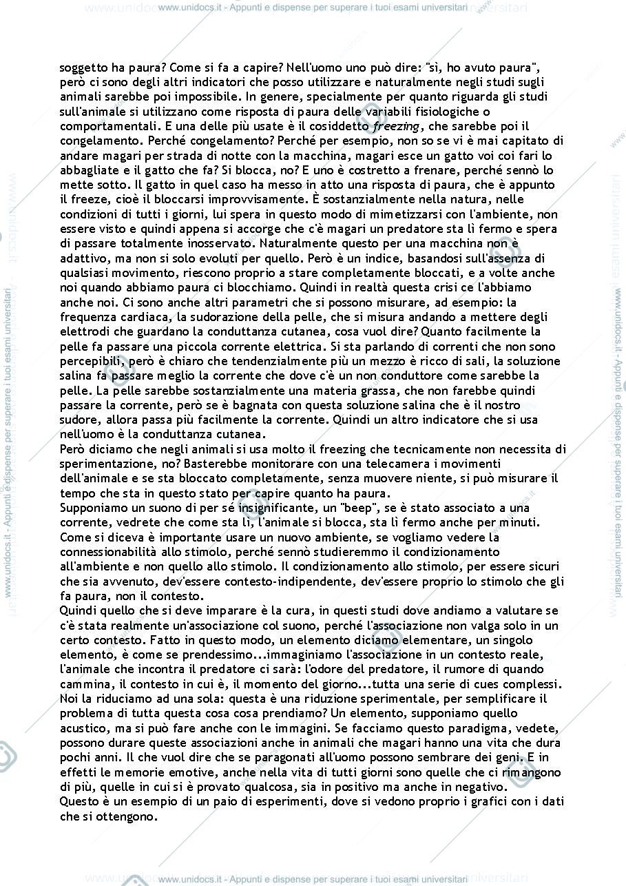 Anteprima pagina 3 — Sbobinature 2° modulo (Pizzorusso)