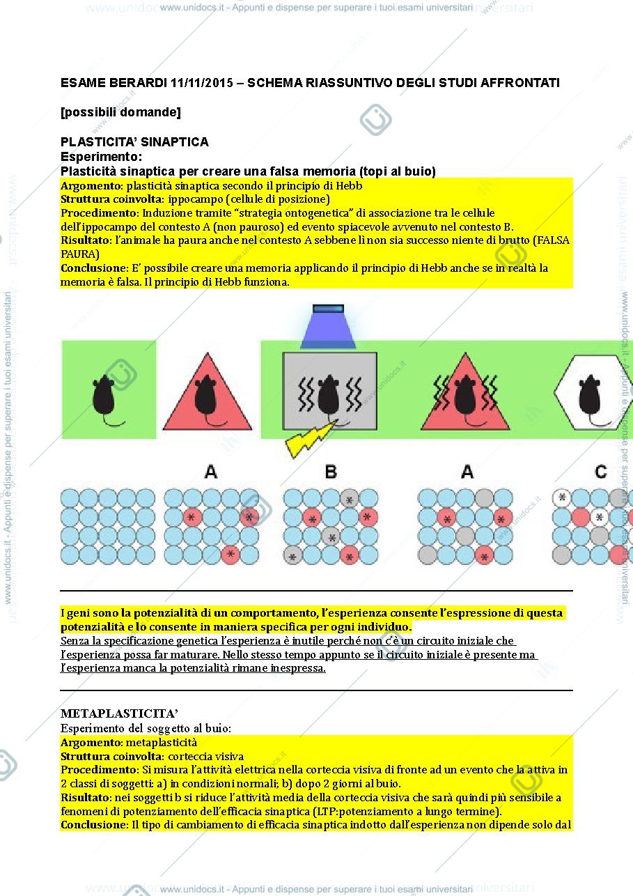 Anteprima pagina 1 — Schema riassuntivo 1° modulo (Berardi)