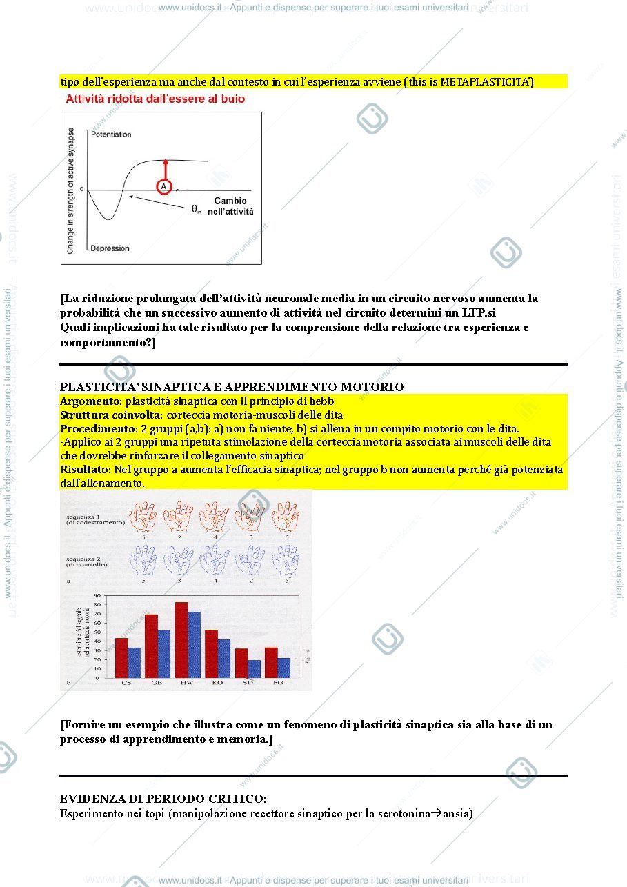 Anteprima pagina 2 — Schema riassuntivo 1° modulo (Berardi)
