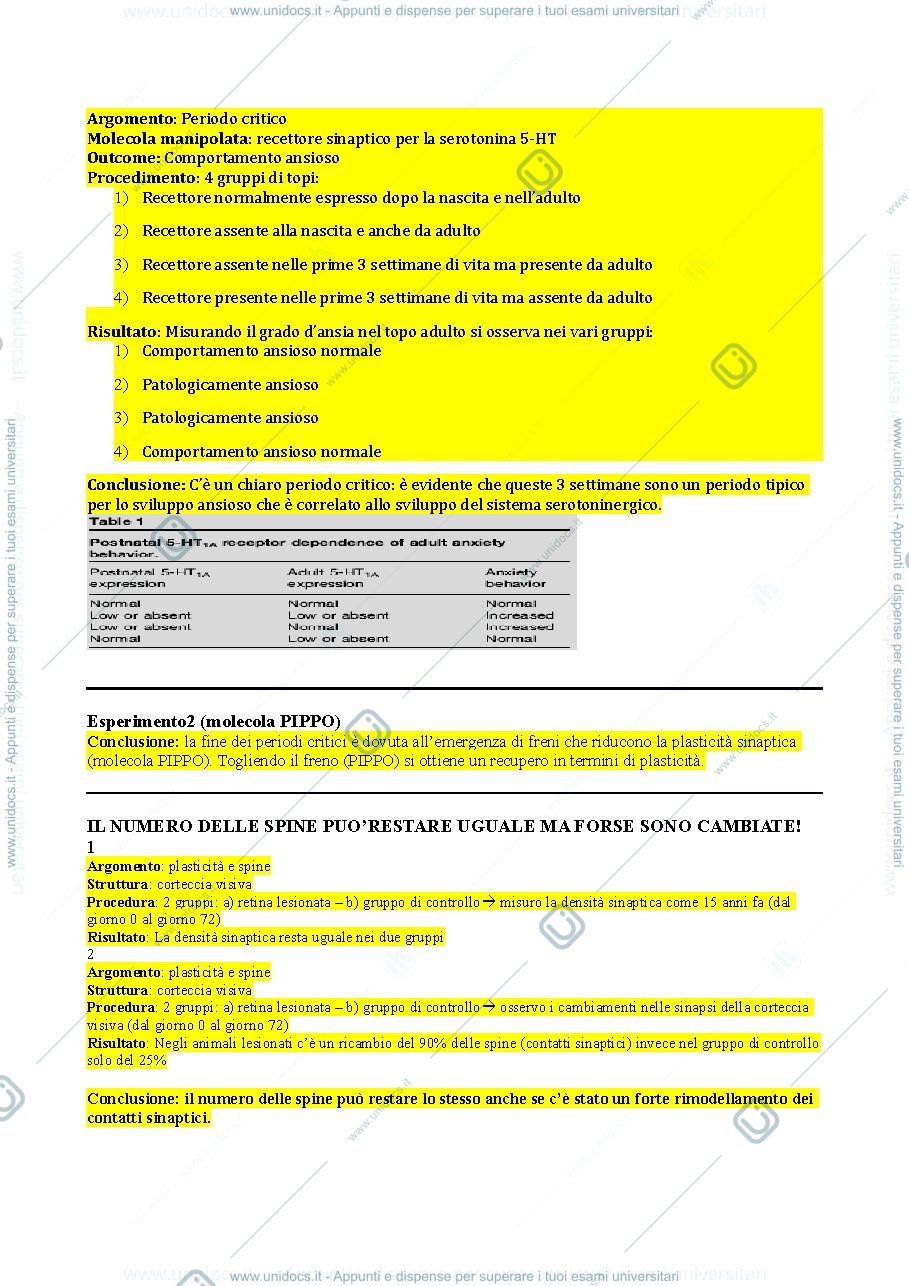 Anteprima pagina 3 — Schema riassuntivo 1° modulo (Berardi)