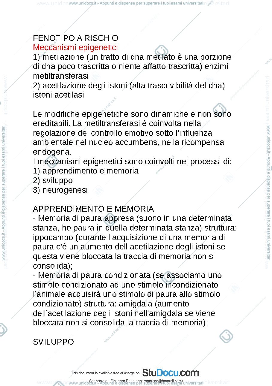 Anteprima pagina 2 — Domande pizzorusso secondo modulo