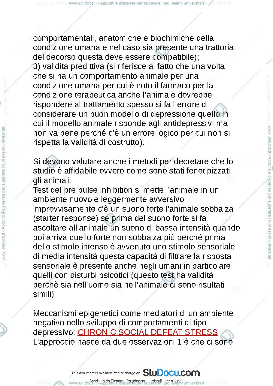 Anteprima pagina 4 — Domande pizzorusso secondo modulo