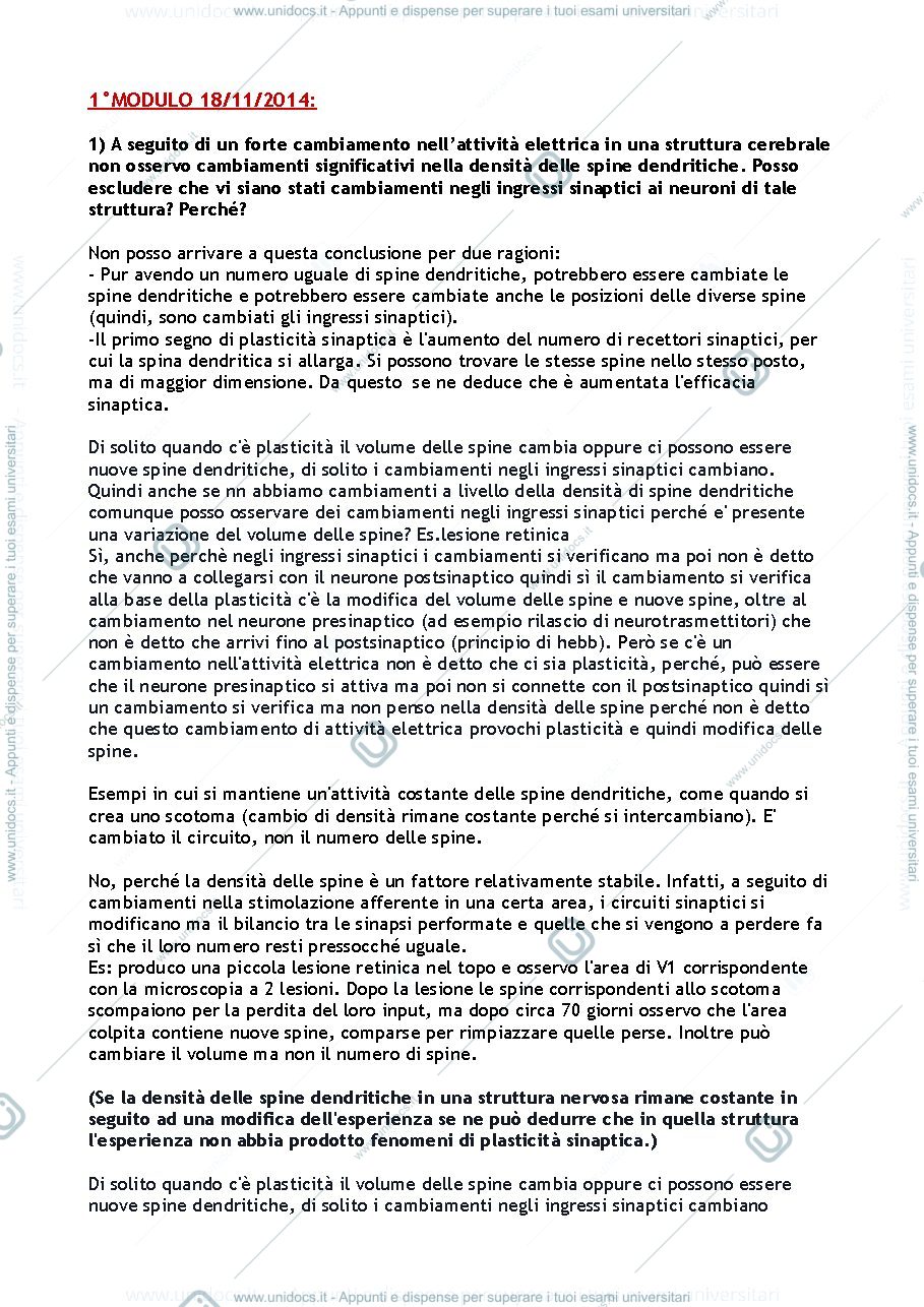 Anteprima pagina 1 — Domande 1° modulo (Berardi/Pizzorusso)