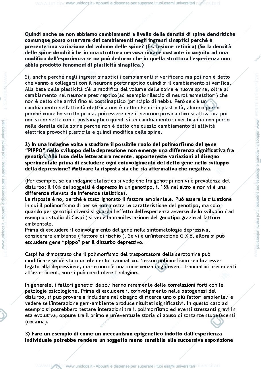 Anteprima pagina 2 — Domande 1° modulo (Berardi/Pizzorusso)