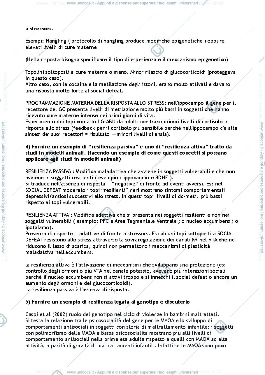 Anteprima pagina 3 — Domande 1° modulo (Berardi/Pizzorusso)