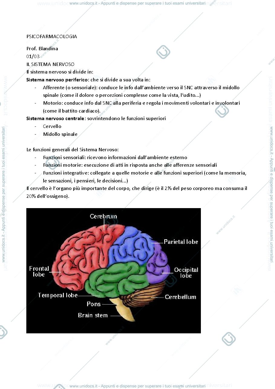 Anteprima pagina 1 — Sbobinature esame Psicofarmacologia