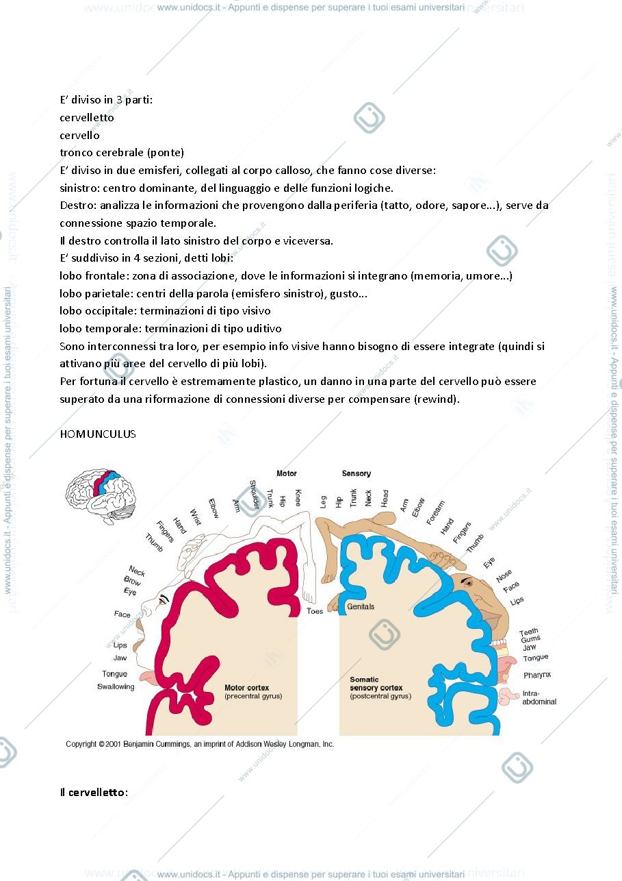 Anteprima pagina 2 — Sbobinature esame Psicofarmacologia