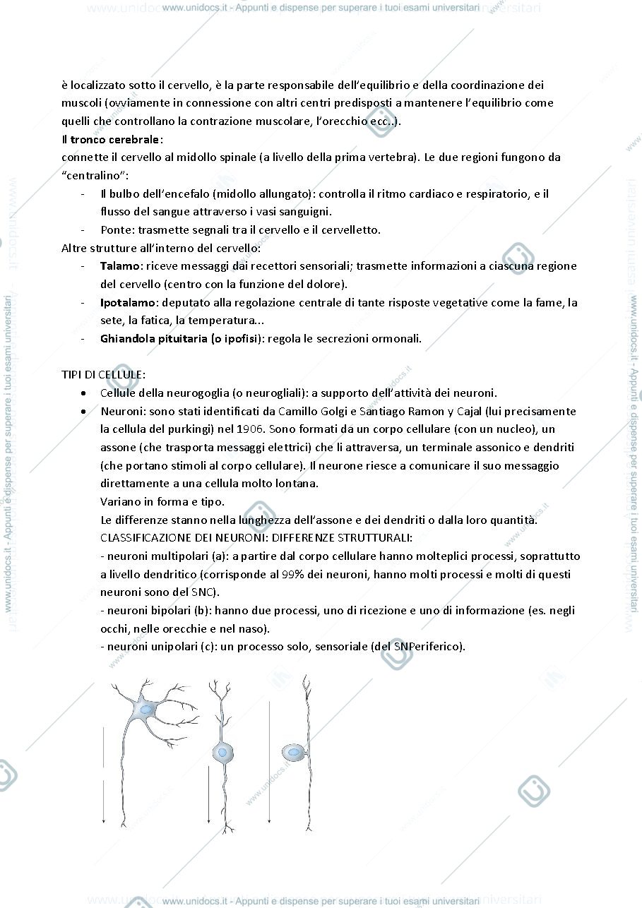Anteprima pagina 3 — Sbobinature esame Psicofarmacologia