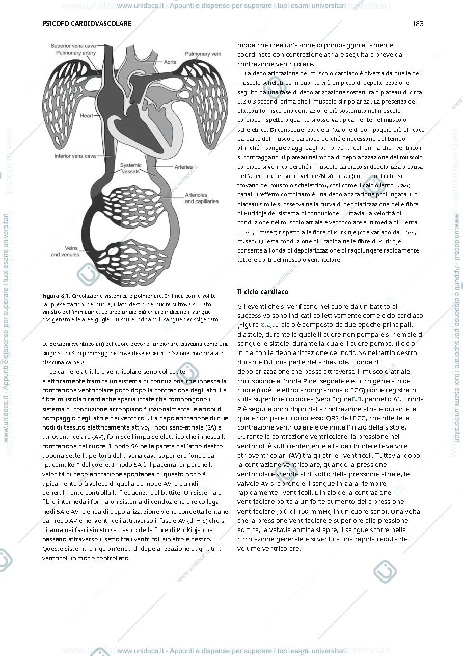 Anteprima pagina 2 — traduzione capitolo 8 cacioppo
