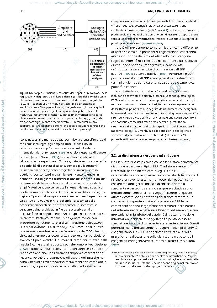 Anteprima pagina 2 — traduzione capitolo 4 cacioppo