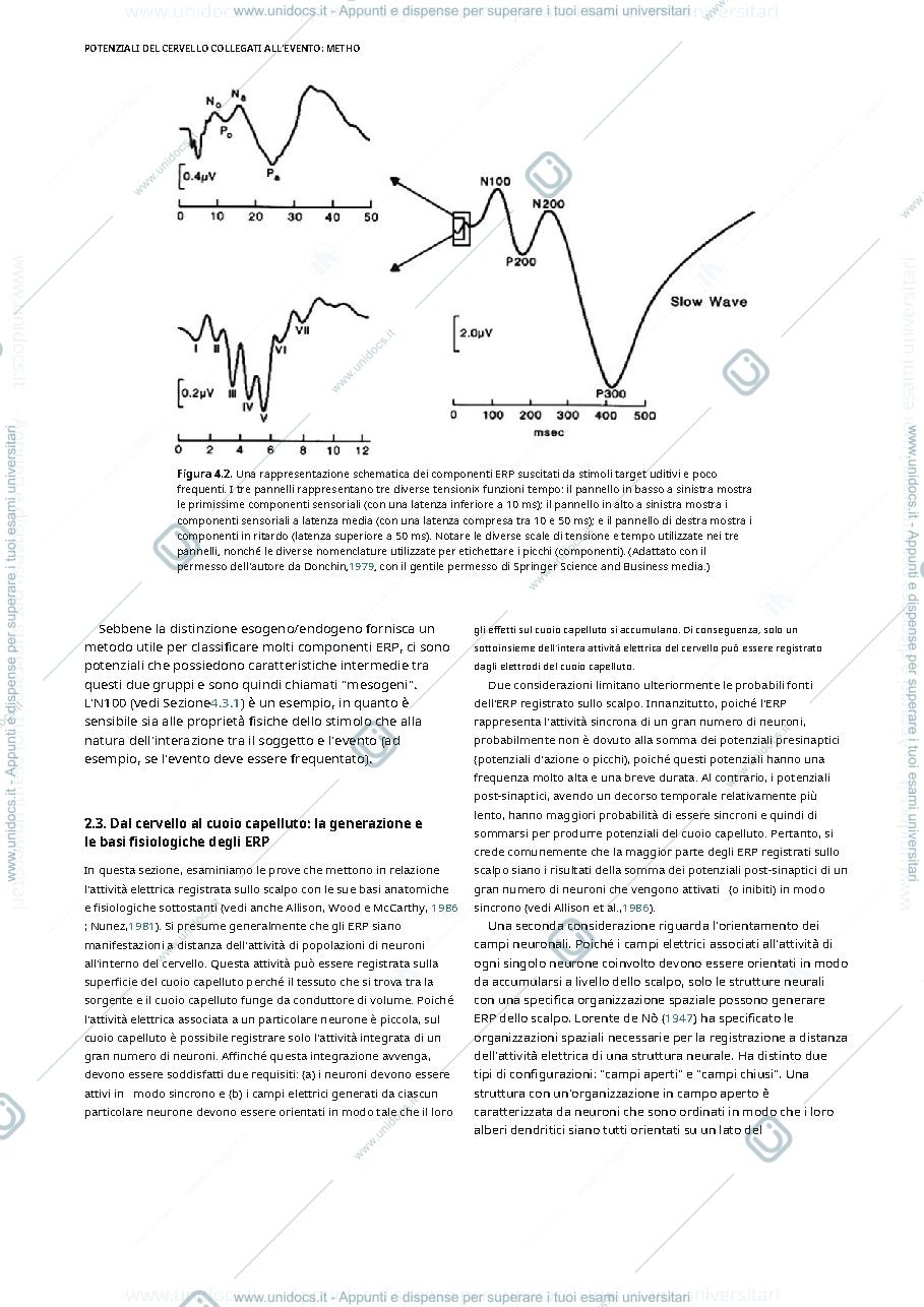 Anteprima pagina 3 — traduzione capitolo 4 cacioppo