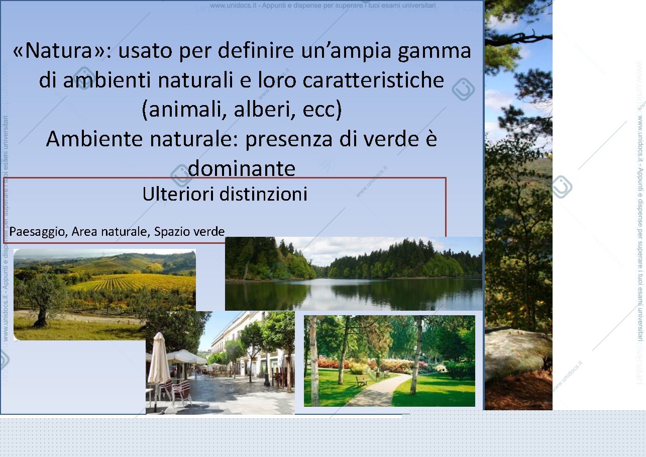 Anteprima pagina 2 — natura e salute pt 2