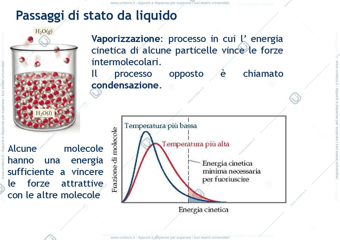 Anteprima pagina 3 — Termodinamica