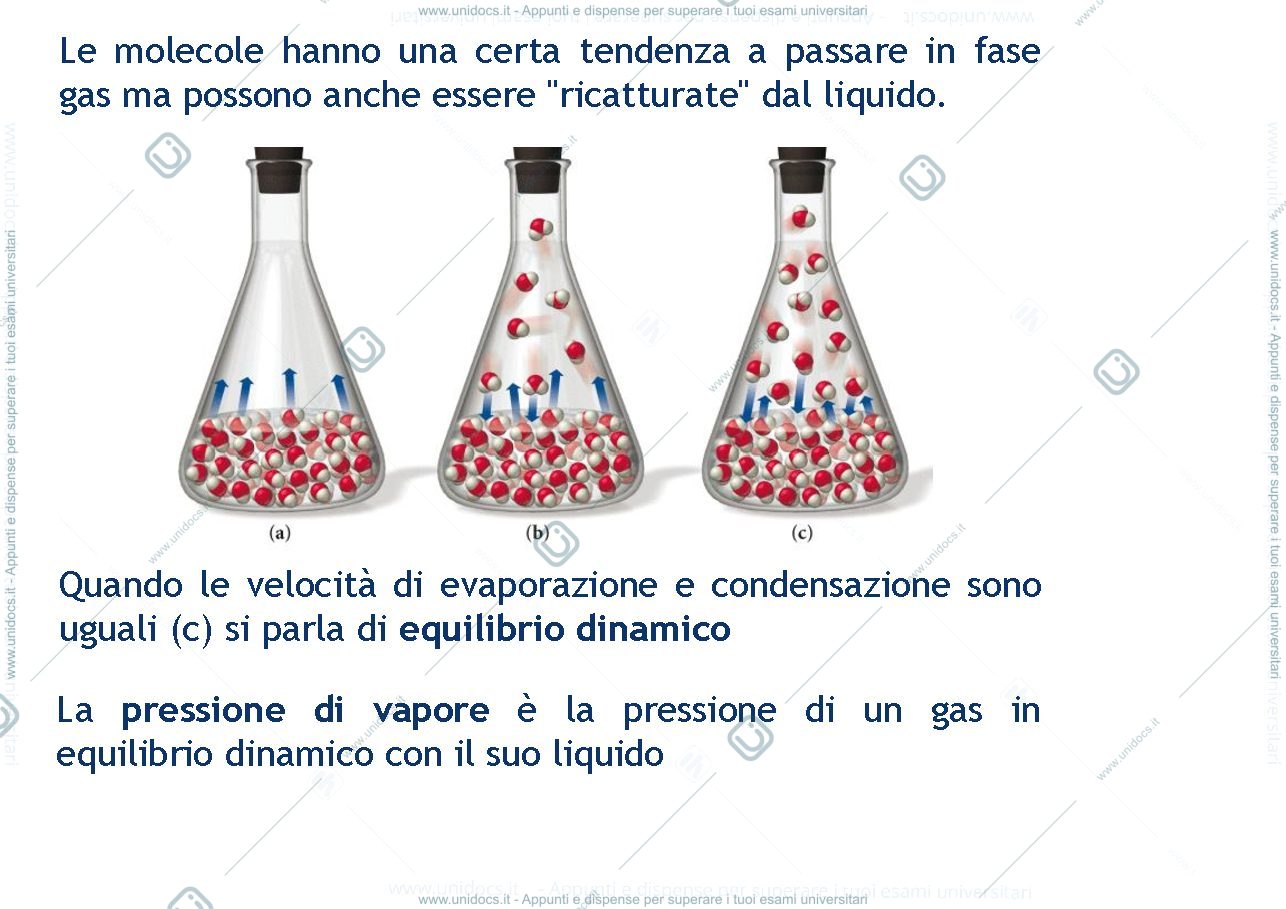 Anteprima pagina 4 — Termodinamica