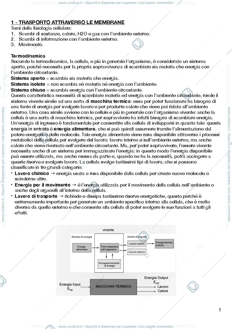 Anteprima pagina 2 — Fisiologia cellulare