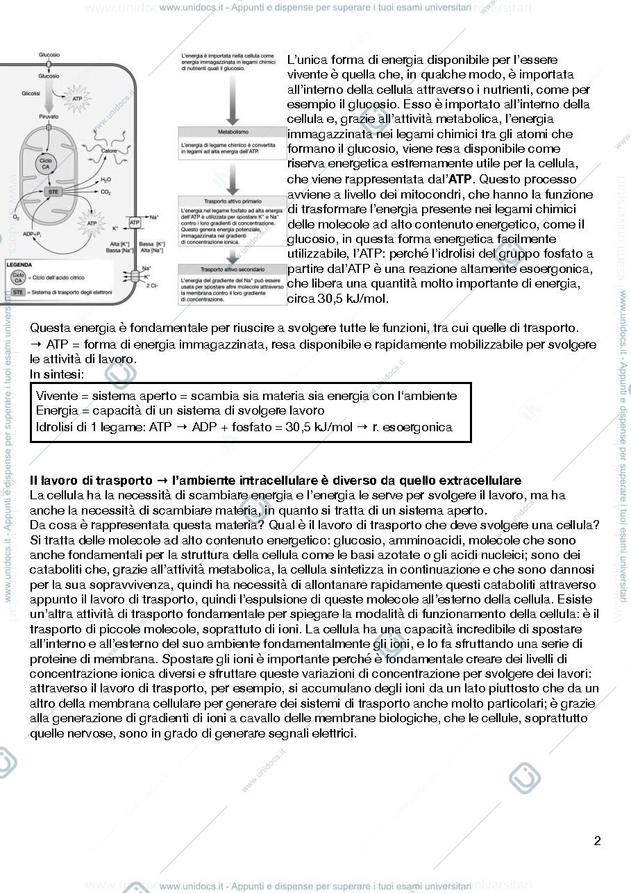 Anteprima pagina 3 — Fisiologia cellulare