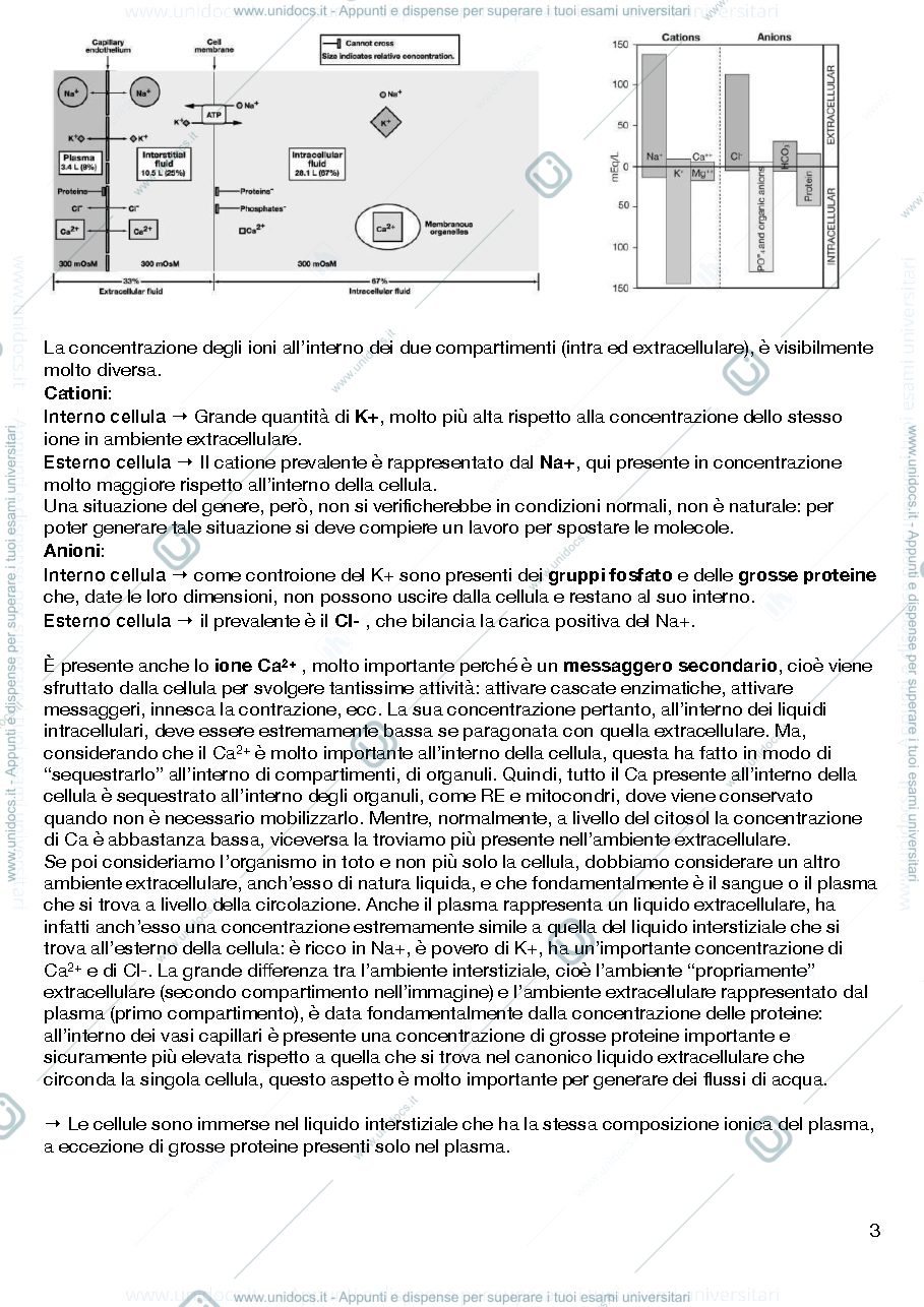 Anteprima pagina 4 — Fisiologia cellulare