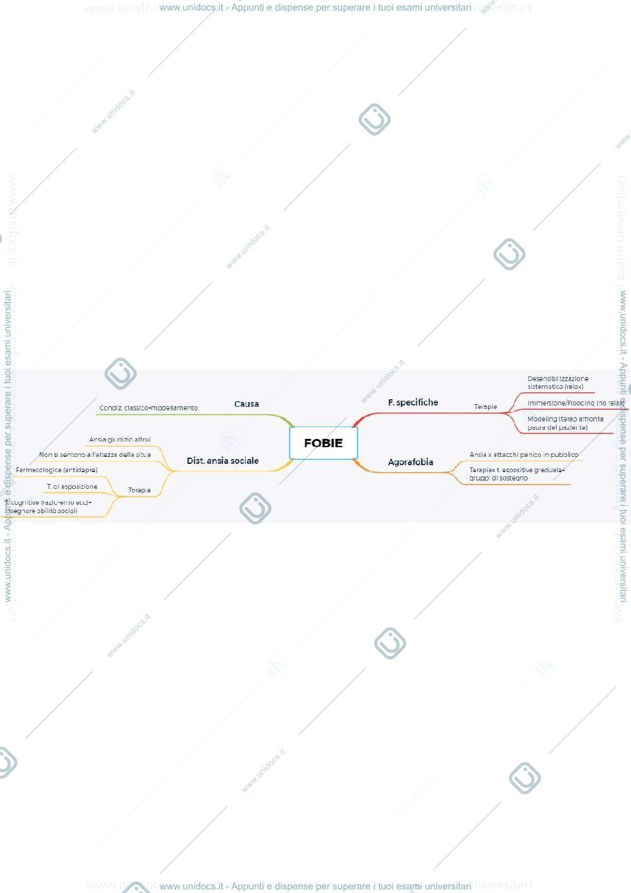Anteprima pagina 2 — Mappe riassuntive psicologia clinica