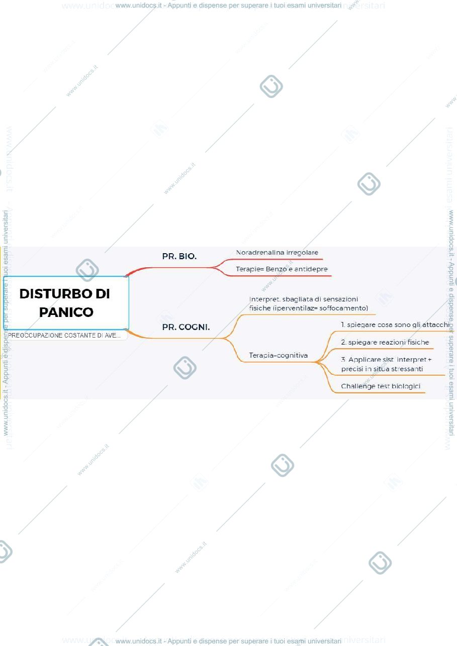 Anteprima pagina 3 — Mappe riassuntive psicologia clinica