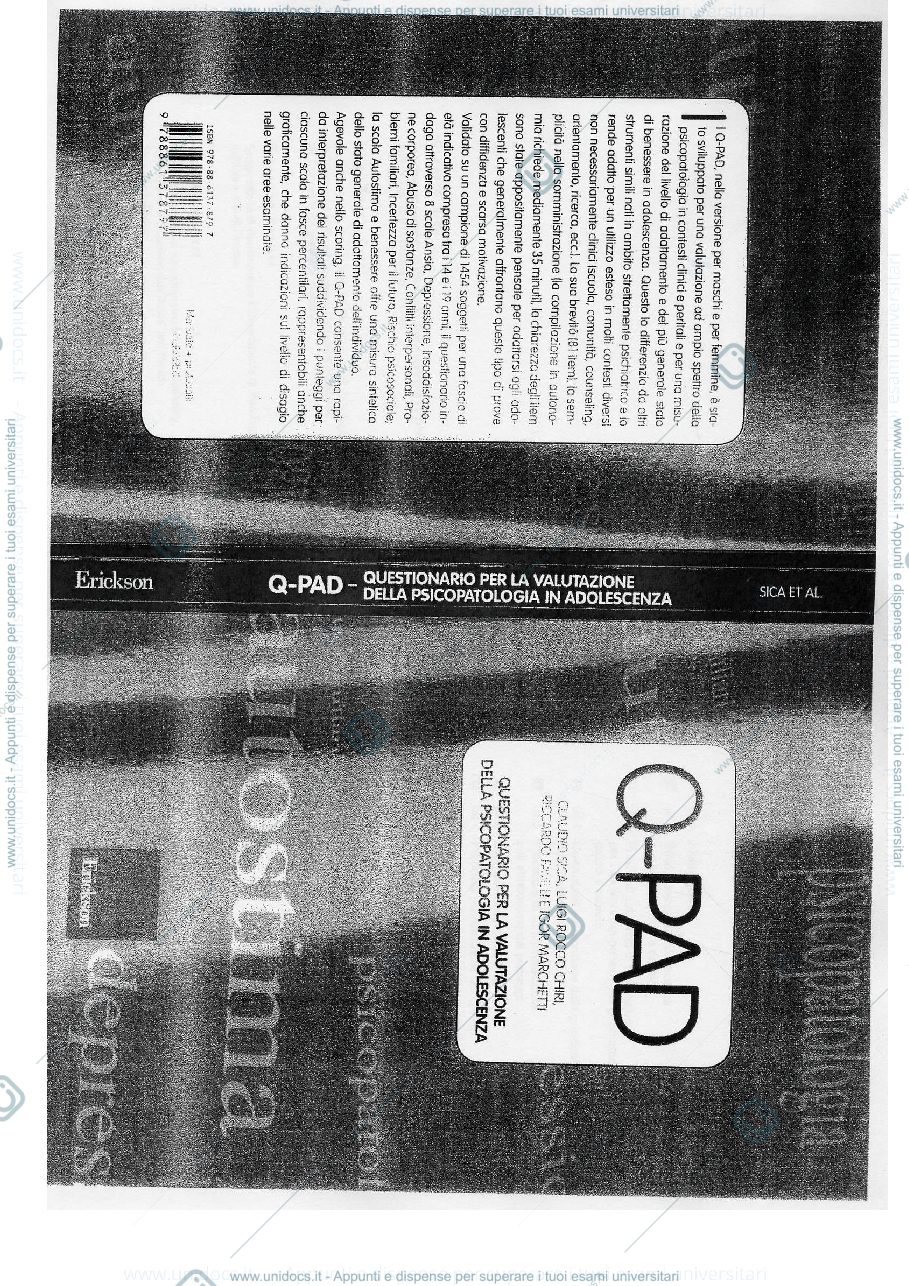 Anteprima pagina 1 — Q-PAD 