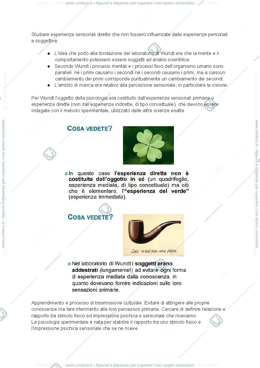 Anteprima pagina 2 — Appunti Psicologia cognitiva
