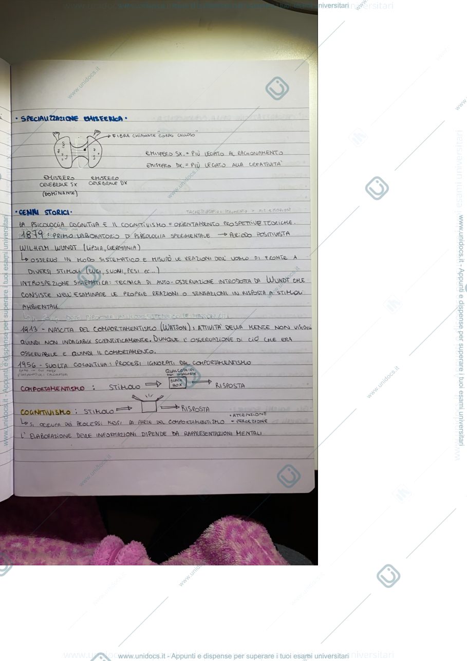 Anteprima pagina 3 — Appunti Psicologia