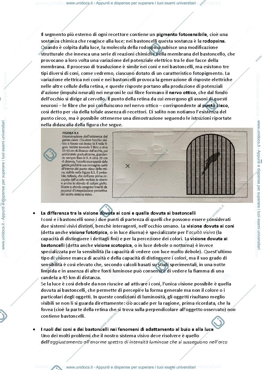 Anteprima pagina 4 — Riassunto TEORIE e METODI DEI PROCESSI COGNITIVI: LA VISIONE