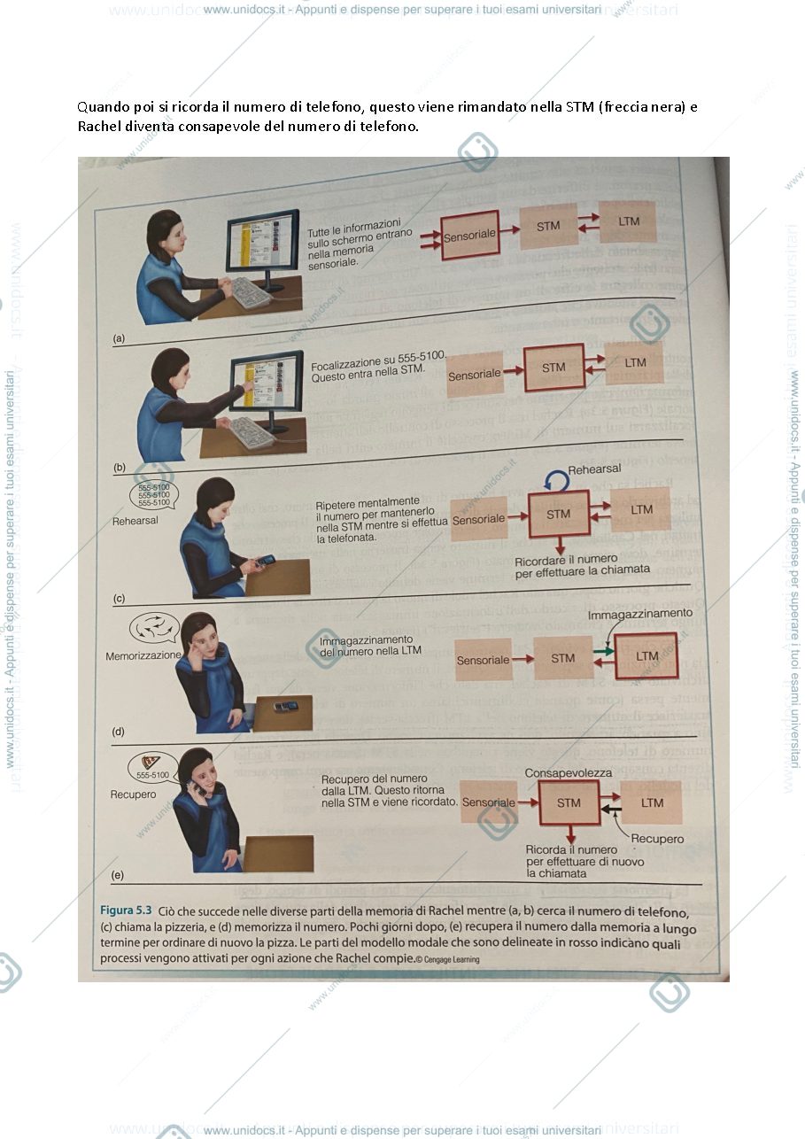 Anteprima pagina 3 — Riassunto integrato di materiale e slide di Processi Cognitivi, LA MEMORIA
