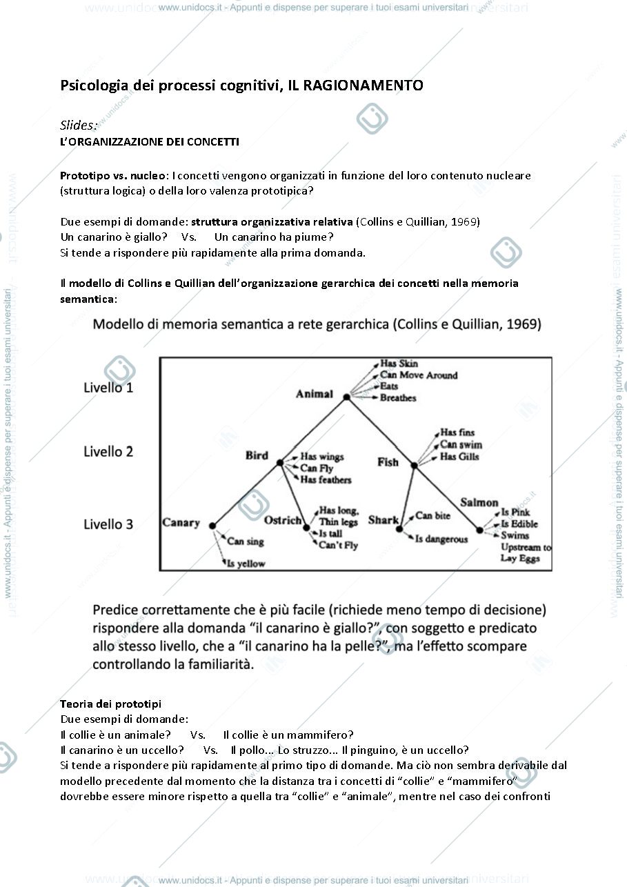 Anteprima pagina 1 — Riassunto integrato di Processi Cognitivi: IL RAGIONAMENTO